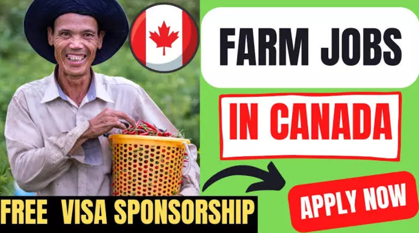 Farm Jobs in Canada with Visa Sponsorship 2024